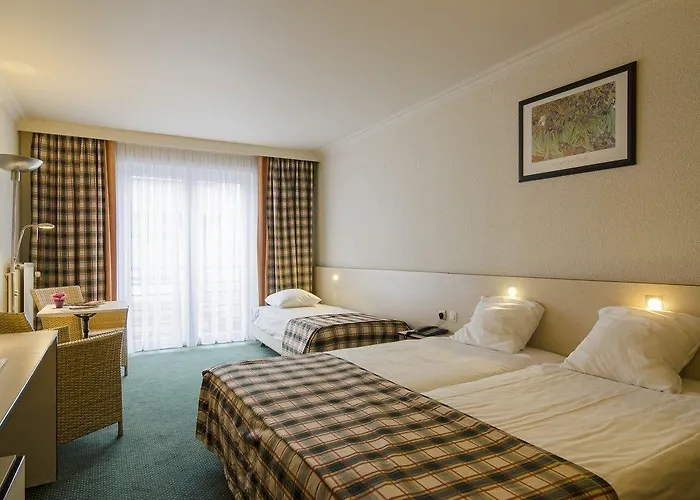 Boudewijn 3* קנוקה-הייסט