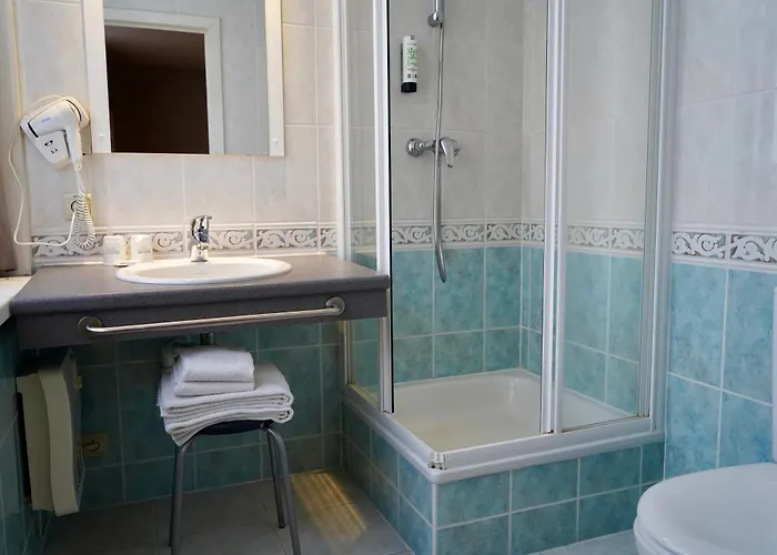 Boudewijn 3* קנוקה-הייסט